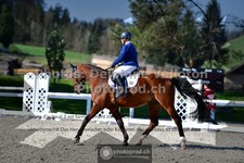 ref. photo 3552925