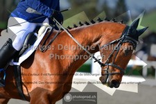 ref. photo 3552927