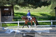 ref. photo 3552929