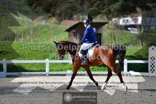 ref. photo 3552934