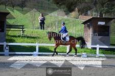 ref. photo 3552954