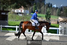 ref. photo 3552960