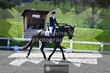 ref. photo 3552978