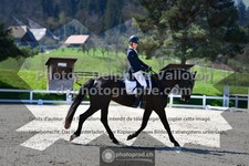 ref. photo 3552984