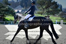 ref. photo 3552987