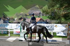 ref. photo 3552991
