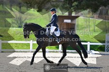 ref. photo 3552994