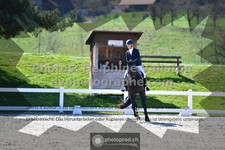 ref. photo 3552997