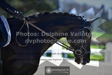 ref. photo 3552999