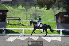 ref. photo 3553002