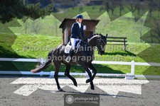 ref. photo 3553005