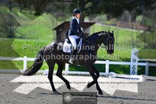 ref. photo 3553006