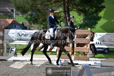 ref. photo 3553009