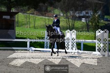 ref. photo 3553011