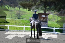 ref. photo 3553015