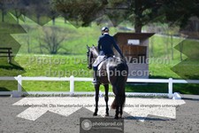 ref. photo 3553016