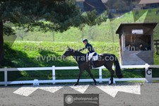 ref. photo 3553018