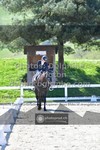 ref. photo 3553019