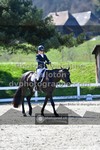 ref. photo 3553020