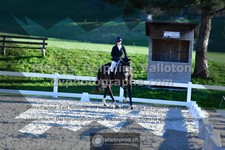 ref. photo 3553029