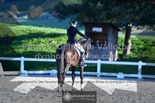 ref. photo 3553033