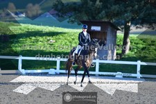 ref. photo 3553034