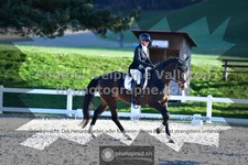 ref. photo 3553046