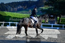 ref. photo 3553048