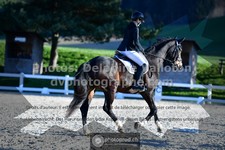 ref. photo 3553049