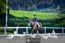 ref. photo 3553050