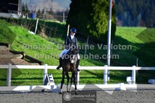 ref. photo 3553051