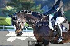 ref. photo 3553053