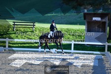 ref. photo 3553054