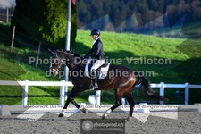 ref. photo 3553055