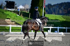 ref. photo 3553057