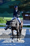 ref. photo 3553063