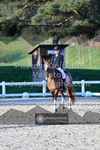 ref. photo 3553064
