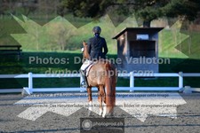 ref. photo 3553067