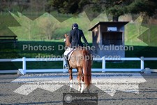 ref. photo 3553068