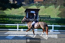 ref. photo 3553071