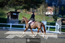 ref. photo 3553076