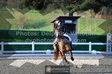 ref. photo 3553081