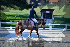 ref. photo 3553089