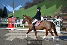 ref. photo 3553095