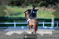 ref. photo 3553096