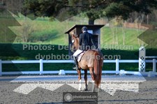 ref. photo 3553098