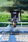 ref. photo 3553102