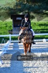 ref. photo 3553106