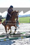 ref. photo 3553112