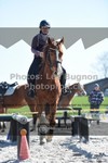 ref. photo 3553114